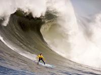 IM竞技-魔术收割凯尔特人，霍勒迪完成里程碑，一场战术与意志的胜利